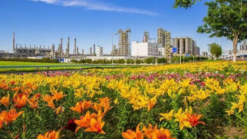 有机化工原料运输车辆清洗要点解析**
